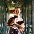 Good Poultry Welfare Photo by Cottonbro Studio